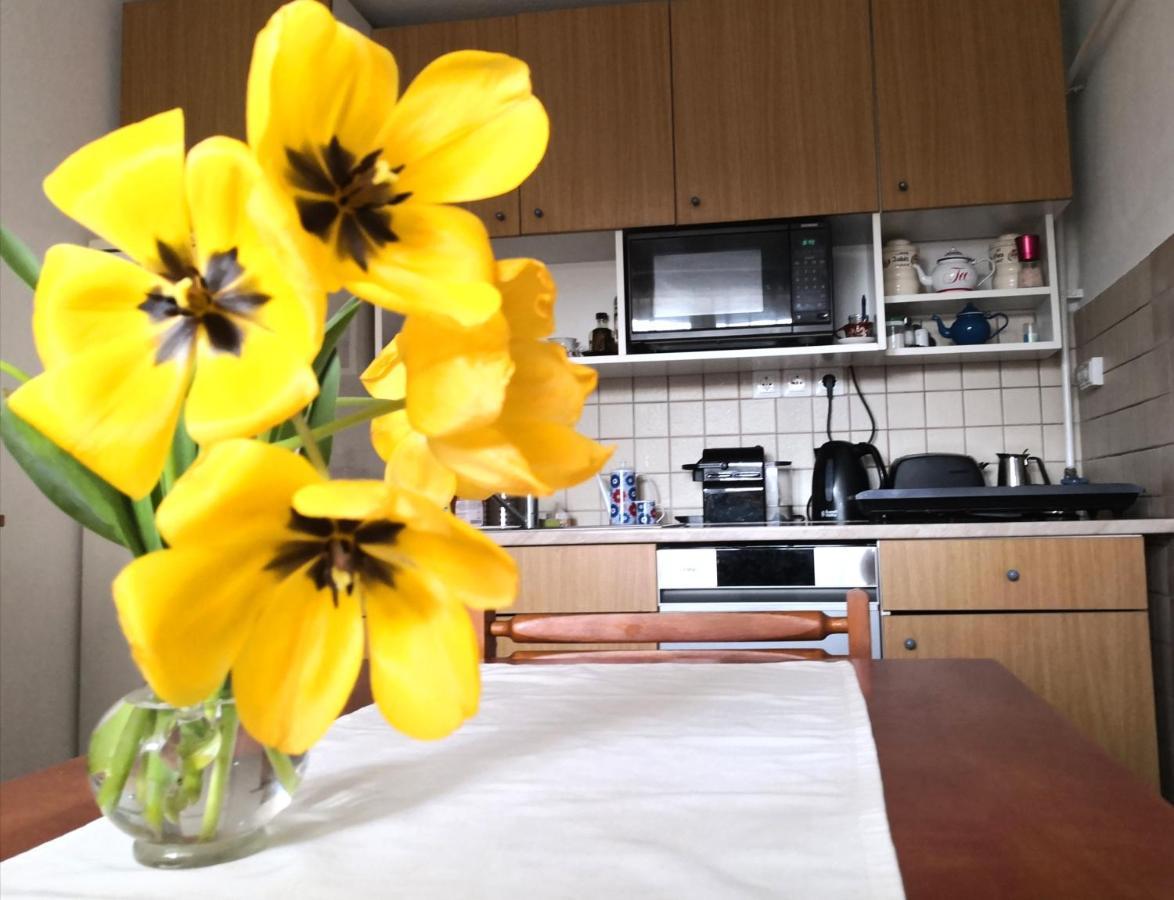 Domboldal Vendeghaz Apartment Noszvaj Bagian luar foto