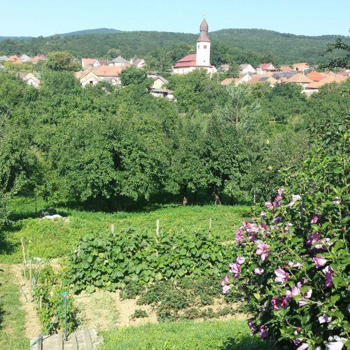 Domboldal Vendeghaz Apartment Noszvaj Bagian luar foto